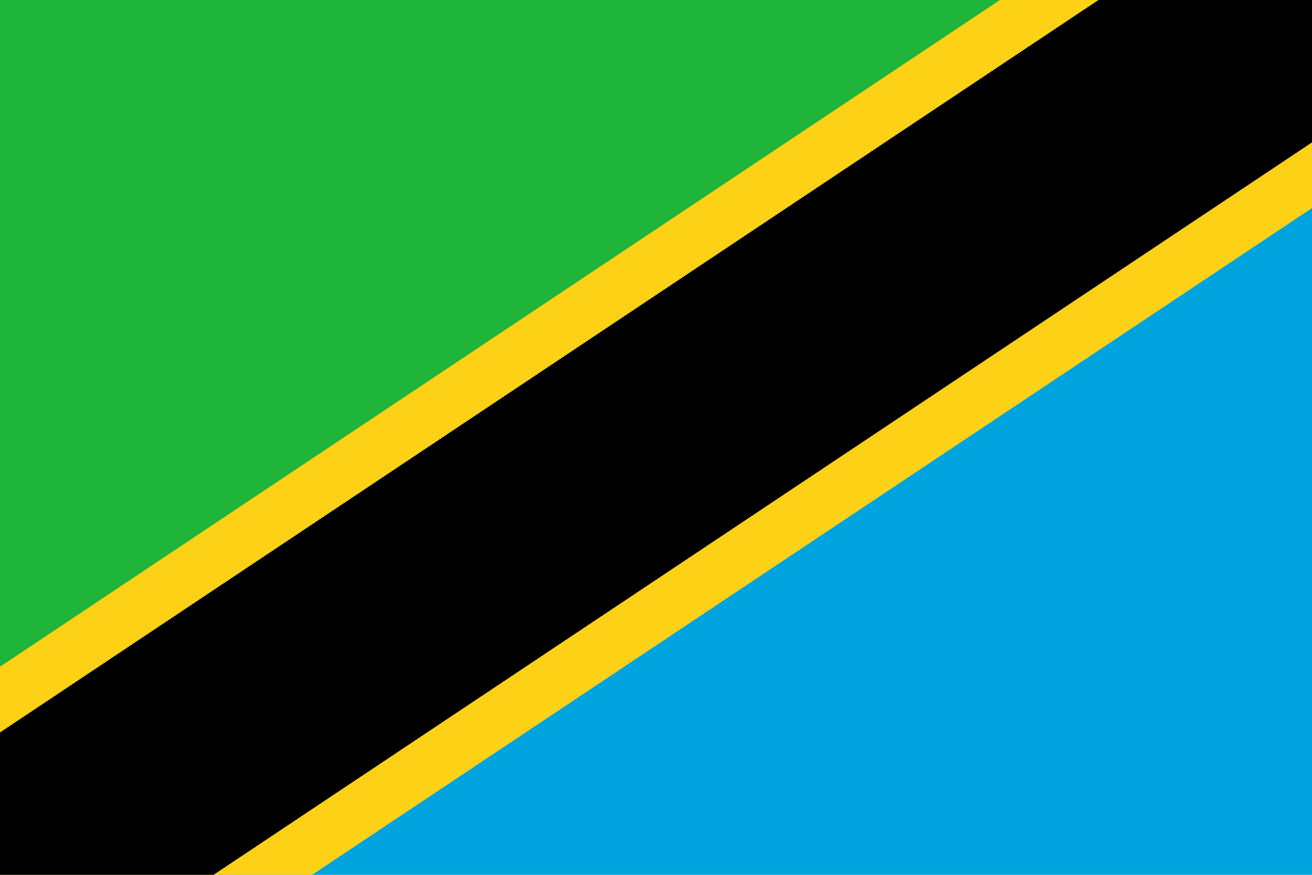 Tanzania Flag