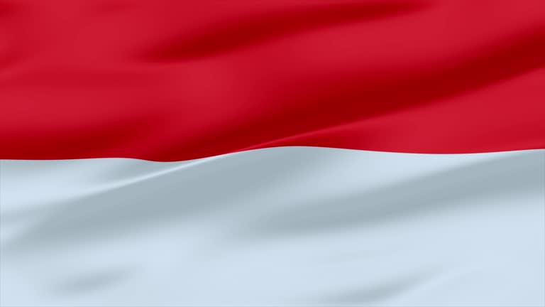 Indonesia (Bali) Flag